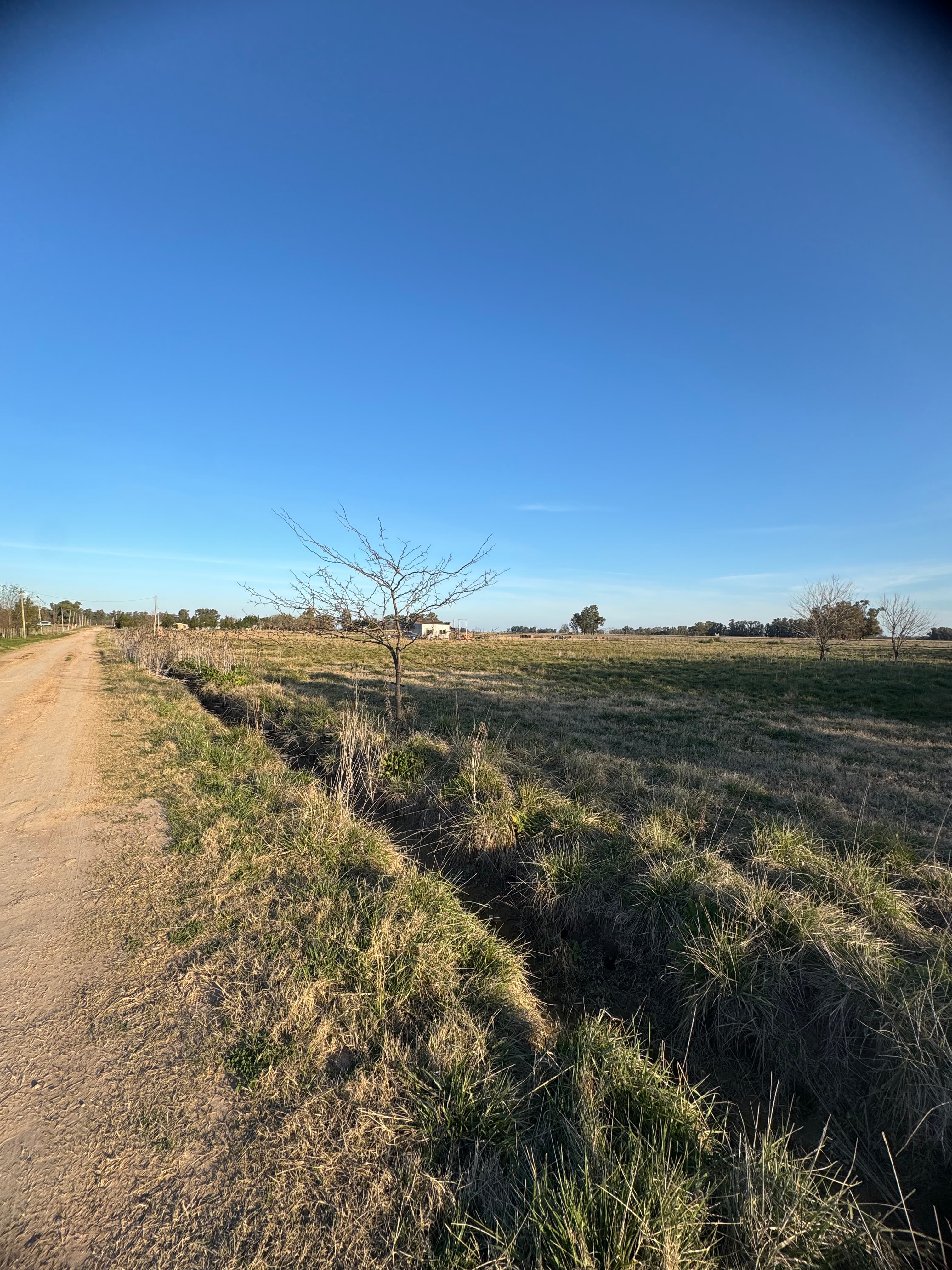 Venta Hectárea Ruta Nacional 5